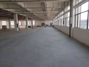 廣州市番禺區(qū)帶消防噴淋有現(xiàn)成環(huán)評食品廠出租